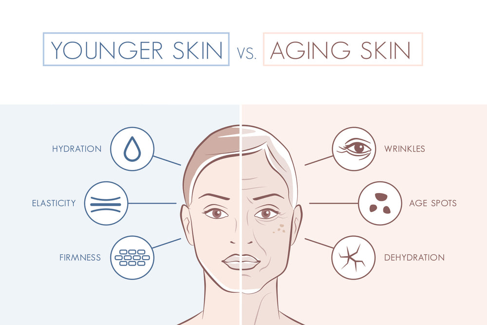 Is Collagen The Miracle Cure We’ve All Been Waiting For?